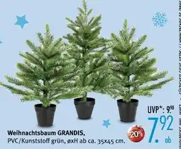 Trends Möbel Weihnachtsbaum grandis Angebot