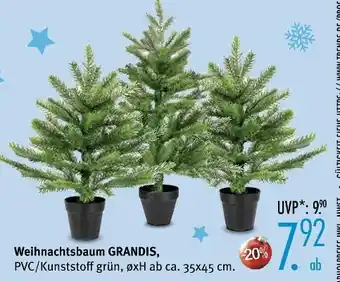 Trends Möbel Weihnachtsbaum grandis Angebot