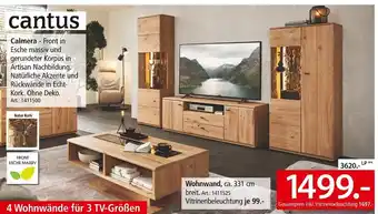 Zurbrüggen Cantus calmera Angebot