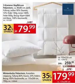 Zurbrüggen Billerbeck 3-kammer kopfkissen polarstern Angebot