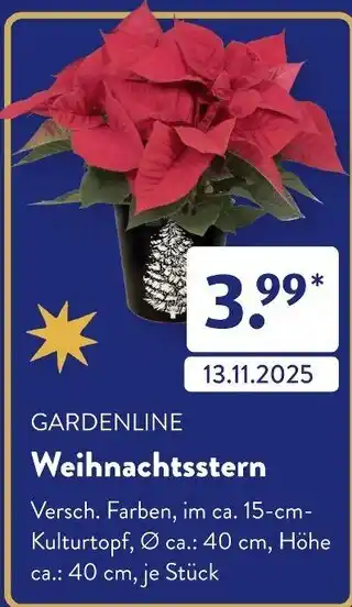 Aldi Süd Gardenline weihnachtsstern Angebot