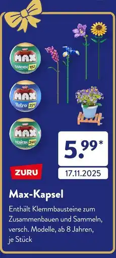 Aldi Süd Zuru max-kapsel garden Angebot