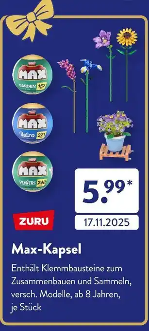 Aldi Süd Zuru max-kapsel garden Angebot