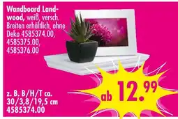 Möbel Boss Wandboard landwood Angebot