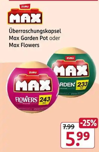 Rossmann Zuru max max garden pot Angebot