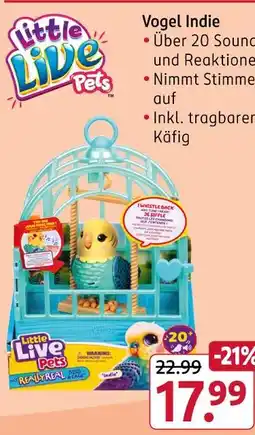 Rossmann Little live pets vogel indie Angebot