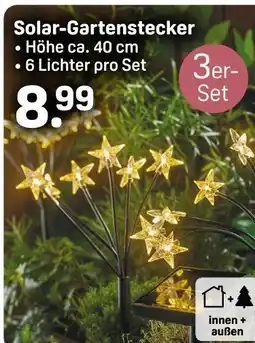 Rossmann Solar-gartenstecker Angebot