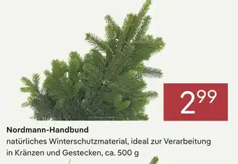 Pflanzen Kölle Nordmann-handbund Angebot