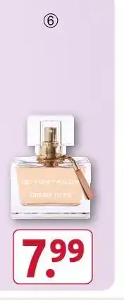 Rossmann Tom tailor dream to be Angebot