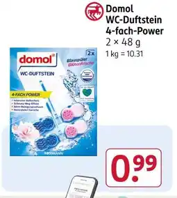 Rossmann Domol wc-duftstein 4-fach-power Angebot