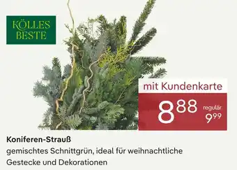 Pflanzen Kölle Kölles beste koniferen-strauß Angebot