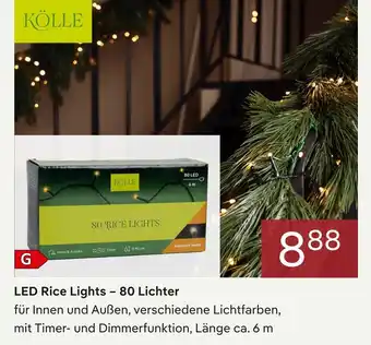 Pflanzen Kölle Kölle led rice lights – 80 lichter Angebot