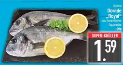 Edeka Frische dorade royal Angebot