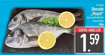 Edeka Frische dorade royal Angebot