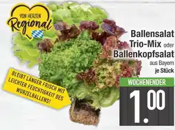 Edeka Ballensalat trio-mix Angebot