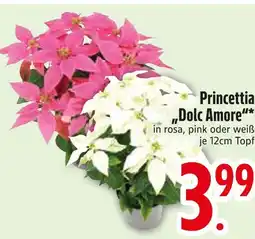 Edeka Princettia dolc amore rosa Angebot