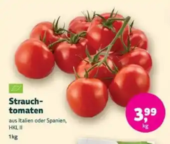 Biomarkt Strauchtomaten Angebot