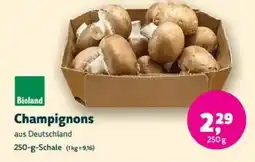 Biomarkt Bioland Champignons Angebot