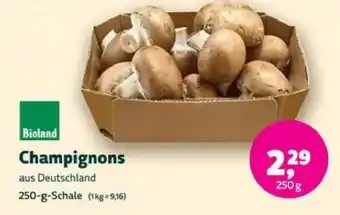 Biomarkt Bioland Champignons Angebot