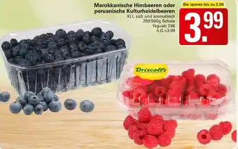 WEZ Marokkanische Himbeeren oder peruanische Kulturheidelbeeren Angebot