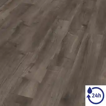 toom Baumarkt EGGER Laminat 'NatureSense Aqua' EL2078 Loja Eiche grau 8 mm Angebot
