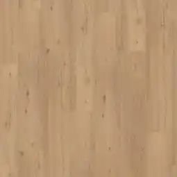 toom Baumarkt Parador Vinylboden 'Classic 2030' Eiche geschliffen braun 9,6 mm Angebot