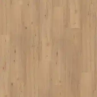 toom Baumarkt Parador Vinylboden 'Classic 2030' Eiche geschliffen braun 9,6 mm Angebot