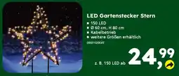 Globus Baumarkt LED Gartenstecker Stern Angebot