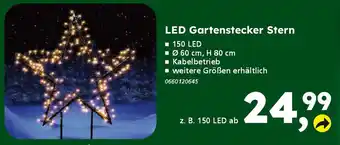Globus Baumarkt LED Gartenstecker Stern Angebot