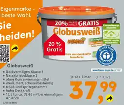 Globus Baumarkt Globusweiß Angebot