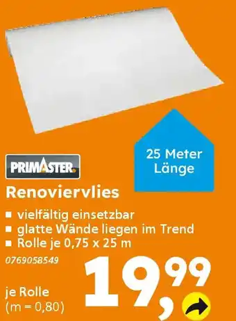 Globus Baumarkt PRIMASTER Renoviervlies Angebot
