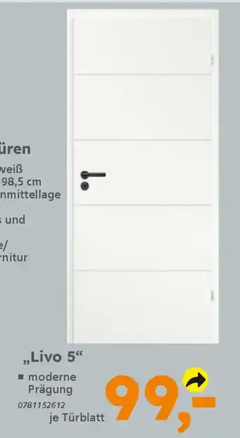 Globus Baumarkt Zimmertür ,,Livo 5" Angebot