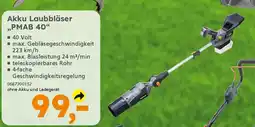 Globus Baumarkt PRIMASTER Akku Laubbläser ,,PMAB 40❝ Angebot