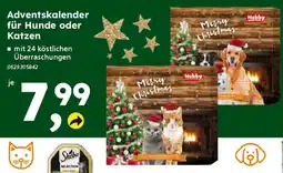 Globus Baumarkt Nobby Adventskalender für Hunde oder Katzen Angebot