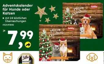 Globus Baumarkt Nobby Adventskalender für Hunde oder Katzen Angebot