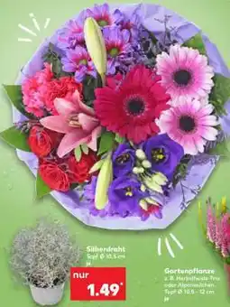 Kaufland Silberdraht Angebot