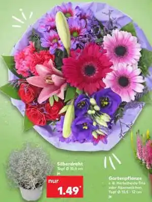 Kaufland Silberdraht Angebot