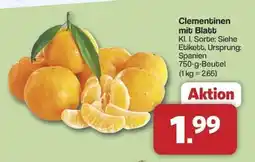 Famila Nord Ost Clementinen mit Blatt Angebot