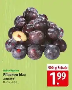 Famila Nord Ost Pflaumen blau Angebot
