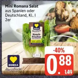 Edeka Mini- Romana- salat Angebot
