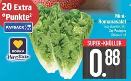 Edeka Mini-Romanasalat Angebot