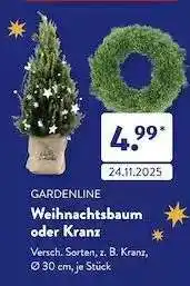 Aldi Süd Weihnachtsbaum oder Kranz Angebot