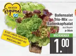 Edeka Ballensalat Trio-Mix oder Ballenkopfsalat Angebot
