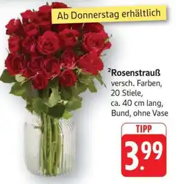 Edeka Rosenstrauß Angebot