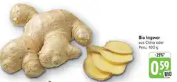 Edeka Bio-Ingwer Angebot