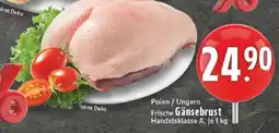 Edeka Frische Gänsebrust Angebot