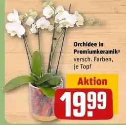 REWE Orchidee in Premiumkeramik Angebot