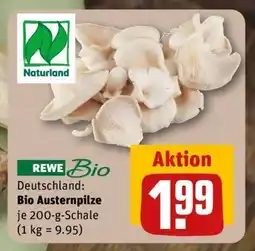 REWE Bio Austernpilze Angebot