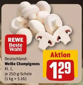 REWE Weiße Champignons Angebot