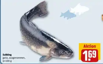 REWE Saibling Angebot